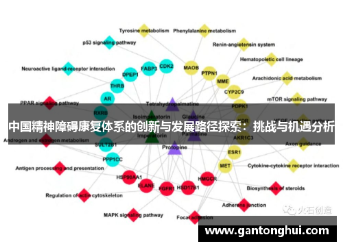 中国精神障碍康复体系的创新与发展路径探索：挑战与机遇分析