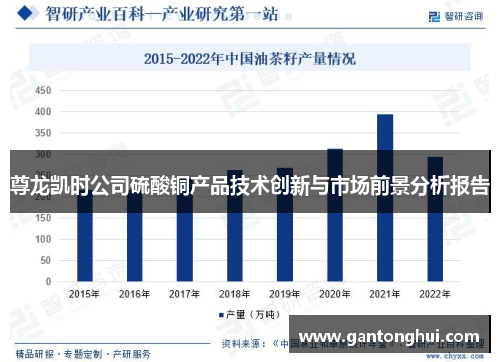 尊龙凯时公司硫酸铜产品技术创新与市场前景分析报告 尊龙凯时公司硫酸铜产品技术创新与市场前景分析报告