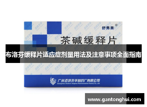 布洛芬缓释片适应症剂量用法及注意事项全面指南 布洛芬缓释片适应症剂量用法及注意事项全面指南