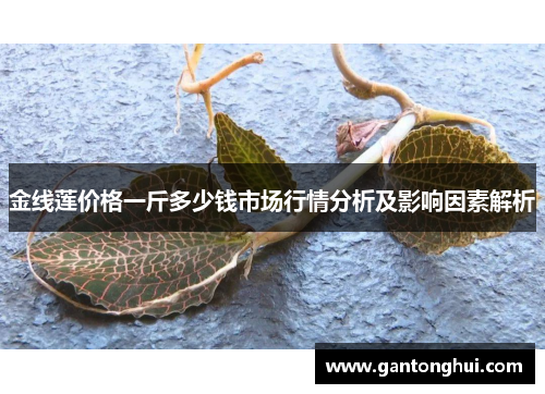金线莲价格一斤多少钱市场行情分析及影响因素解析 金线莲价格一斤多少钱市场行情分析及影响因素解析